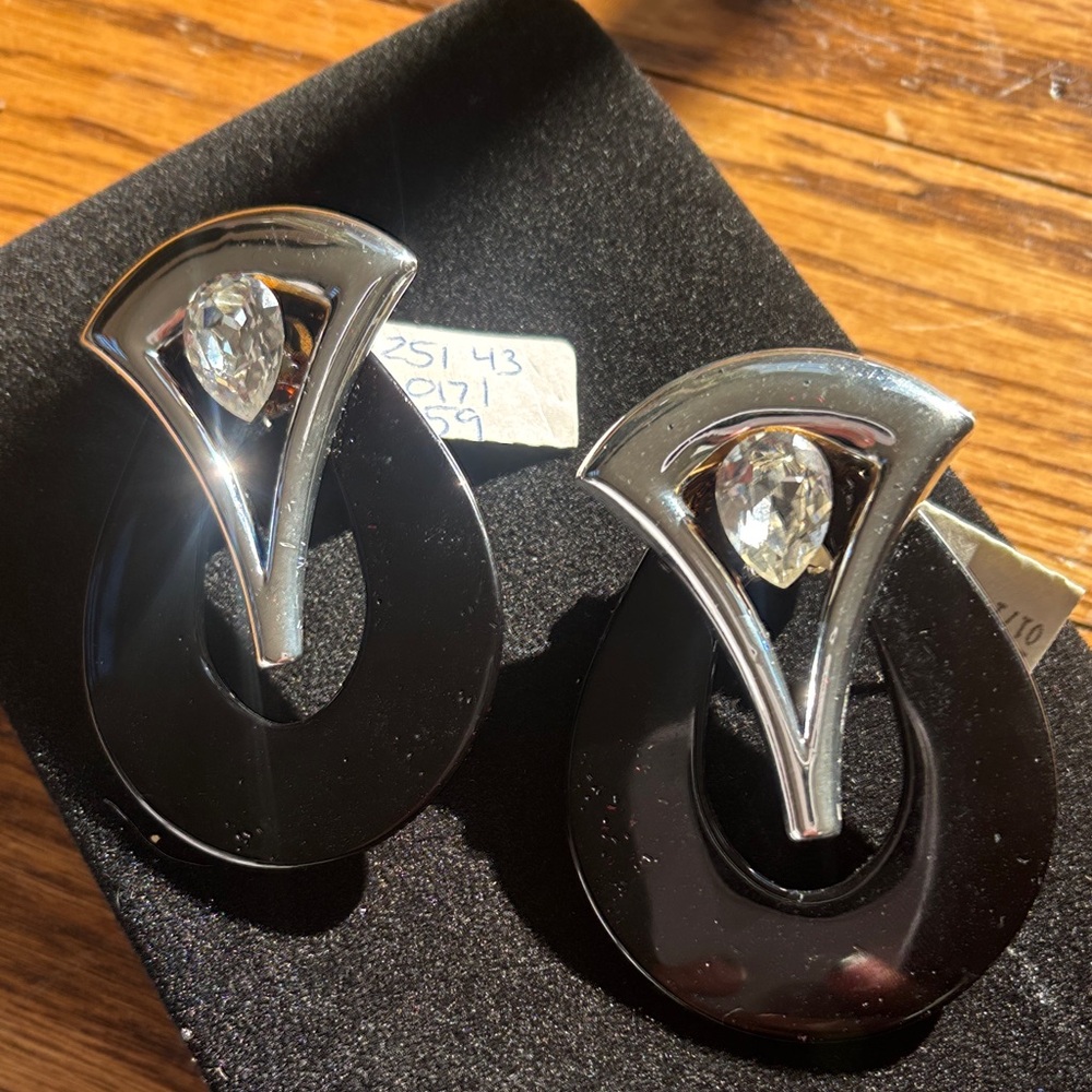 ✨ Vintage Betty Asch Lucite Statement Earrings | Hand-Painted | 1980s Designer